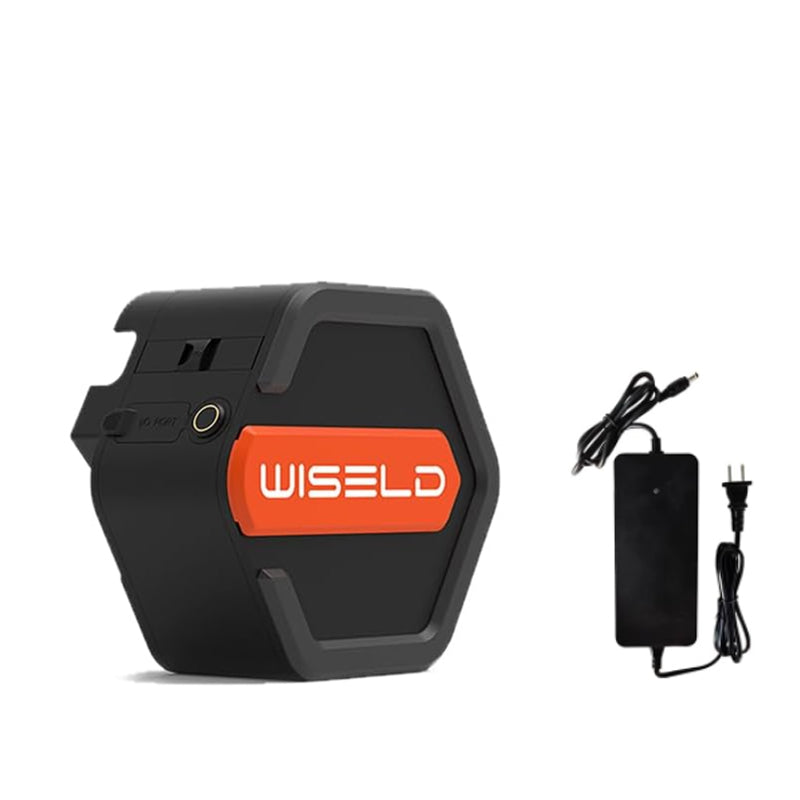 WISELD GT3 Electric Riding Wagon Battery with Charger